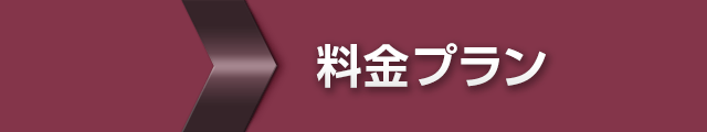 料金プラン